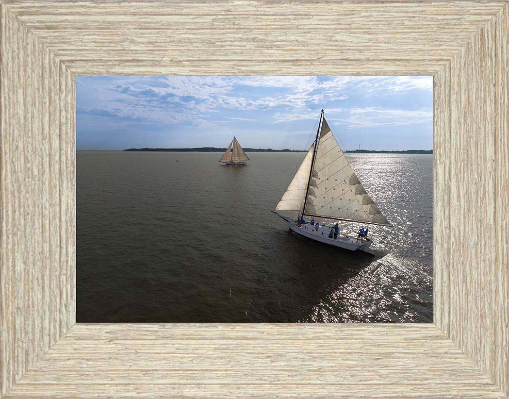 2023 Deal Island Skipjack Races - The Beauty in the Sails -- Digital Print