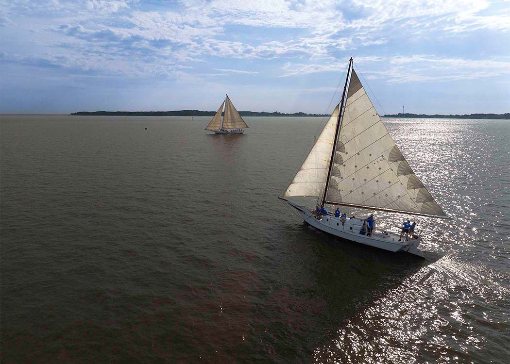 2023 Deal Island Skipjack Races - The Beauty in the Sails -- Digital Print