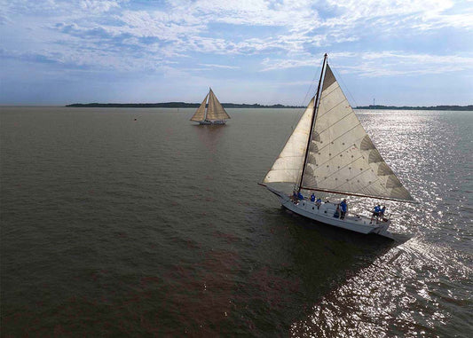 2023 Deal Island Skipjack Races - The Beauty in the Sails -- Digital Print