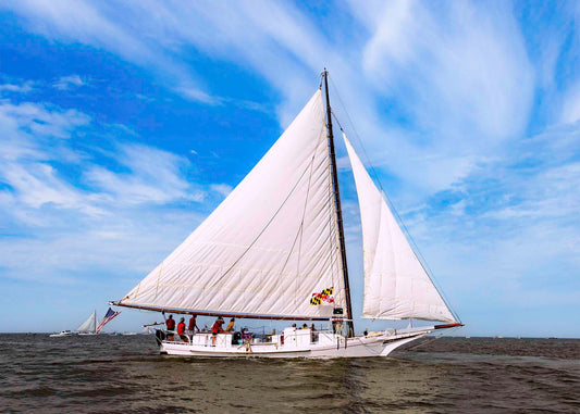 2023 Deal Island Skipjack Races - The Nathan of Dorchester -- Digital Print