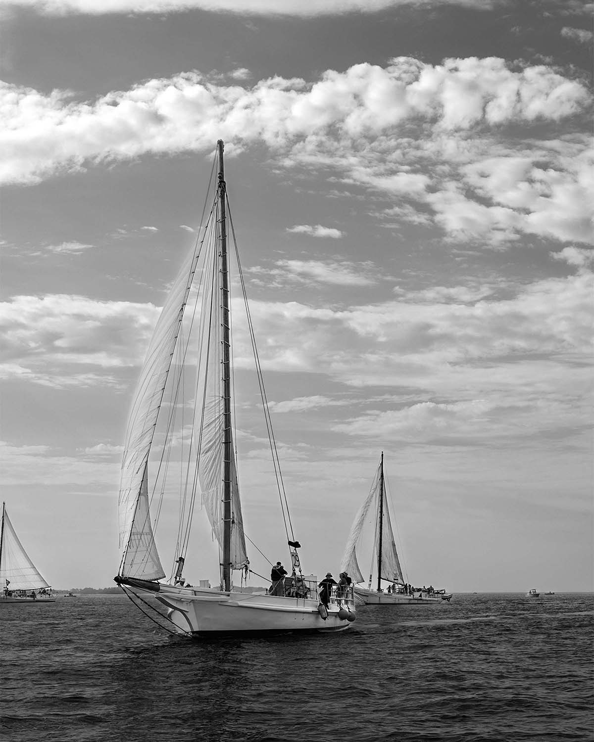 2023 Deal Island Skipjack Races - The Rebecca T Ruark Leading the Kathryn -- Digital Print