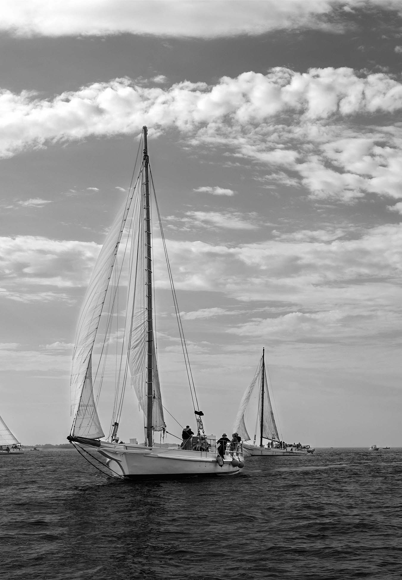 2023 Deal Island Skipjack Races - The Rebecca T Ruark Leading the Kathryn -- Digital Print