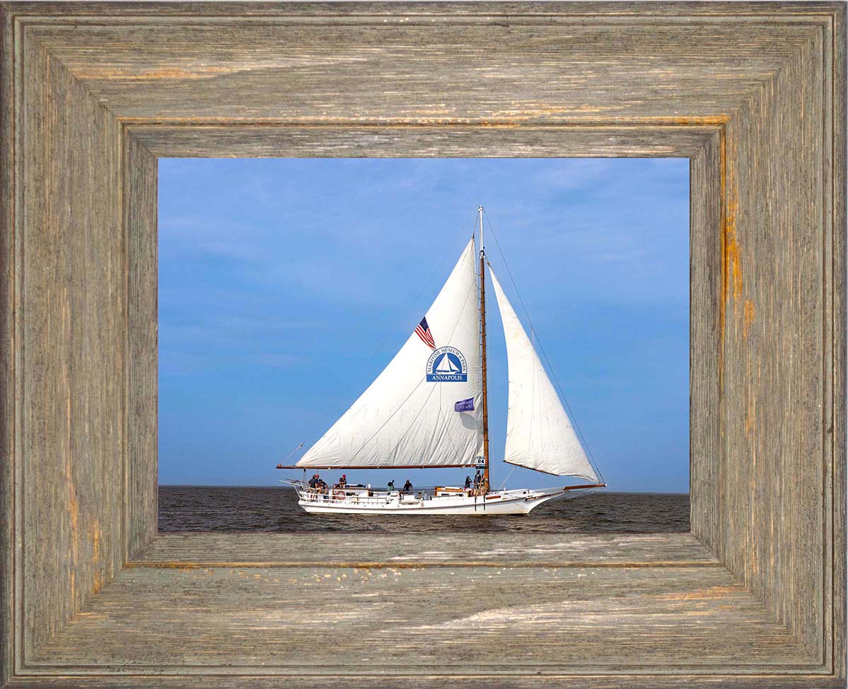 2023 Deal Island Skipjack Races - The Wilma Lee -- Digital Print