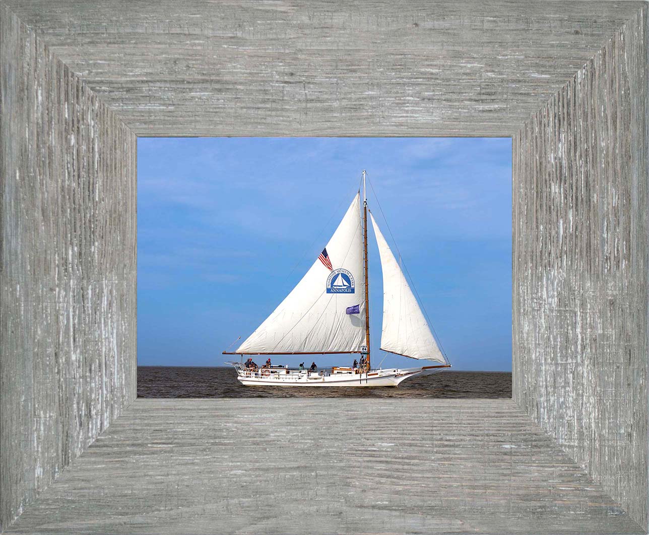 2023 Deal Island Skipjack Races - The Wilma Lee -- Digital Print