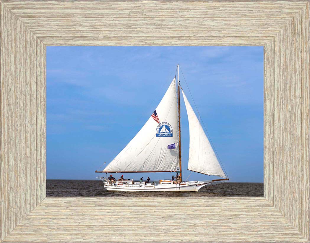 2023 Deal Island Skipjack Races - The Wilma Lee -- Digital Print