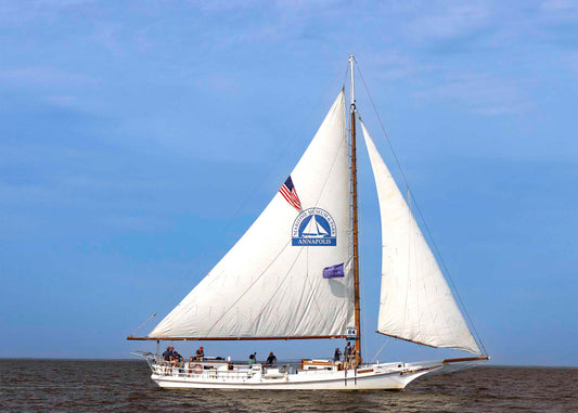 2023 Deal Island Skipjack Races - The Wilma Lee -- Digital Print