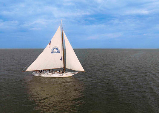 2023 Deal Island Skipjack Races - The Wilma Lee - SB -- Digital Print