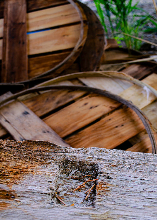 Abandoned Lids -- Digital Print