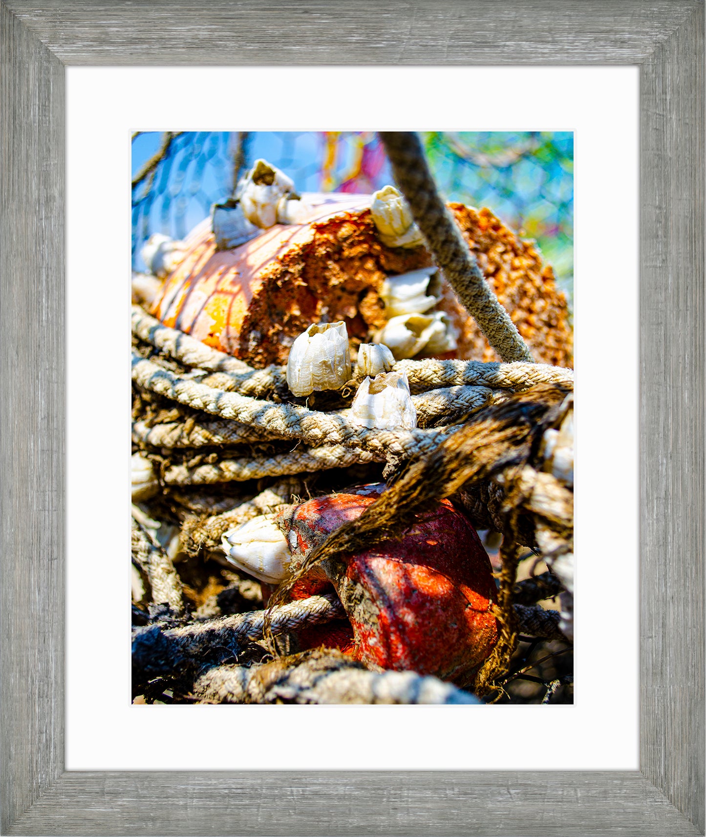 Barnacles on Float -- Digital Print
