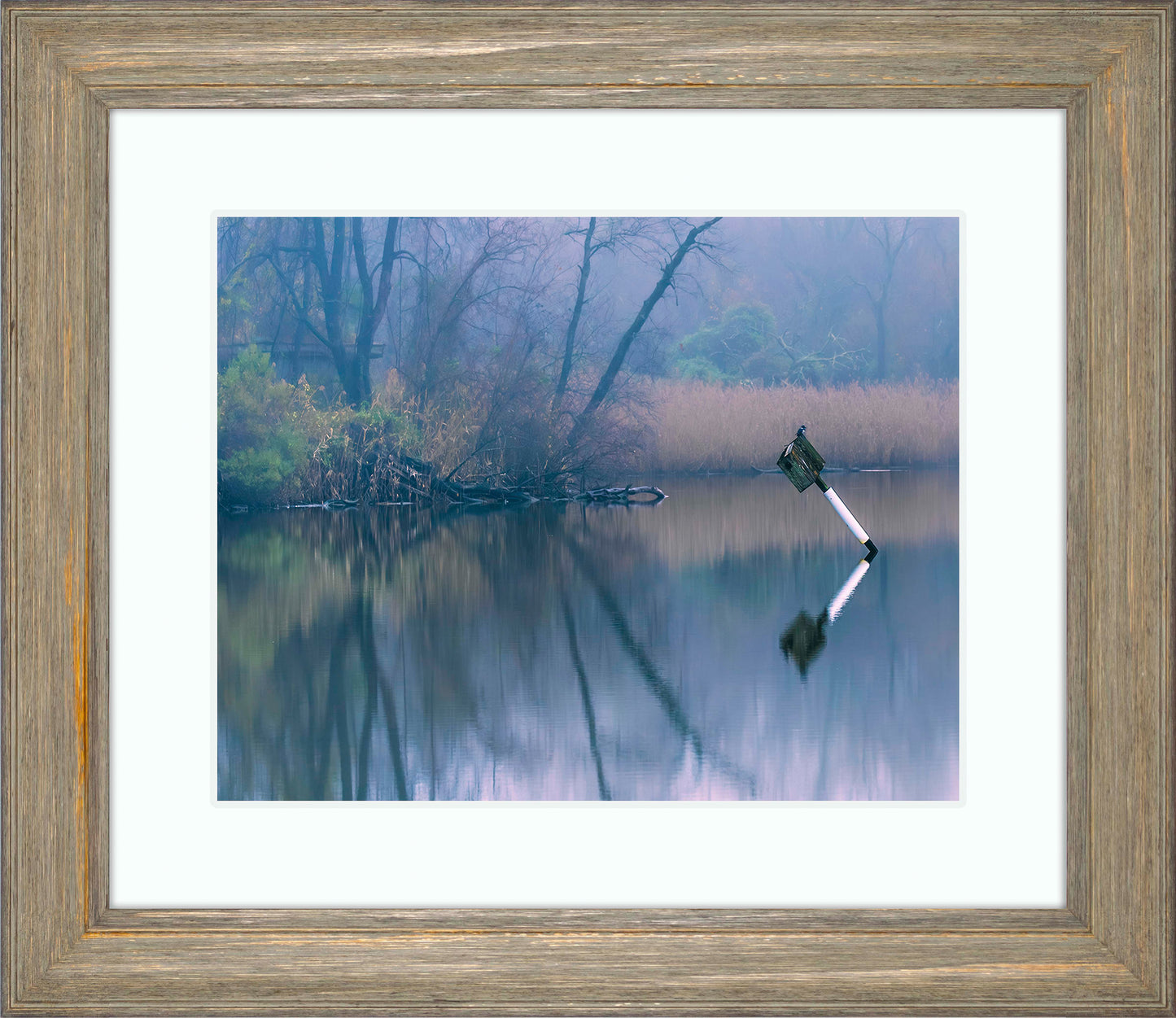Bird on a Box -- Digital Print