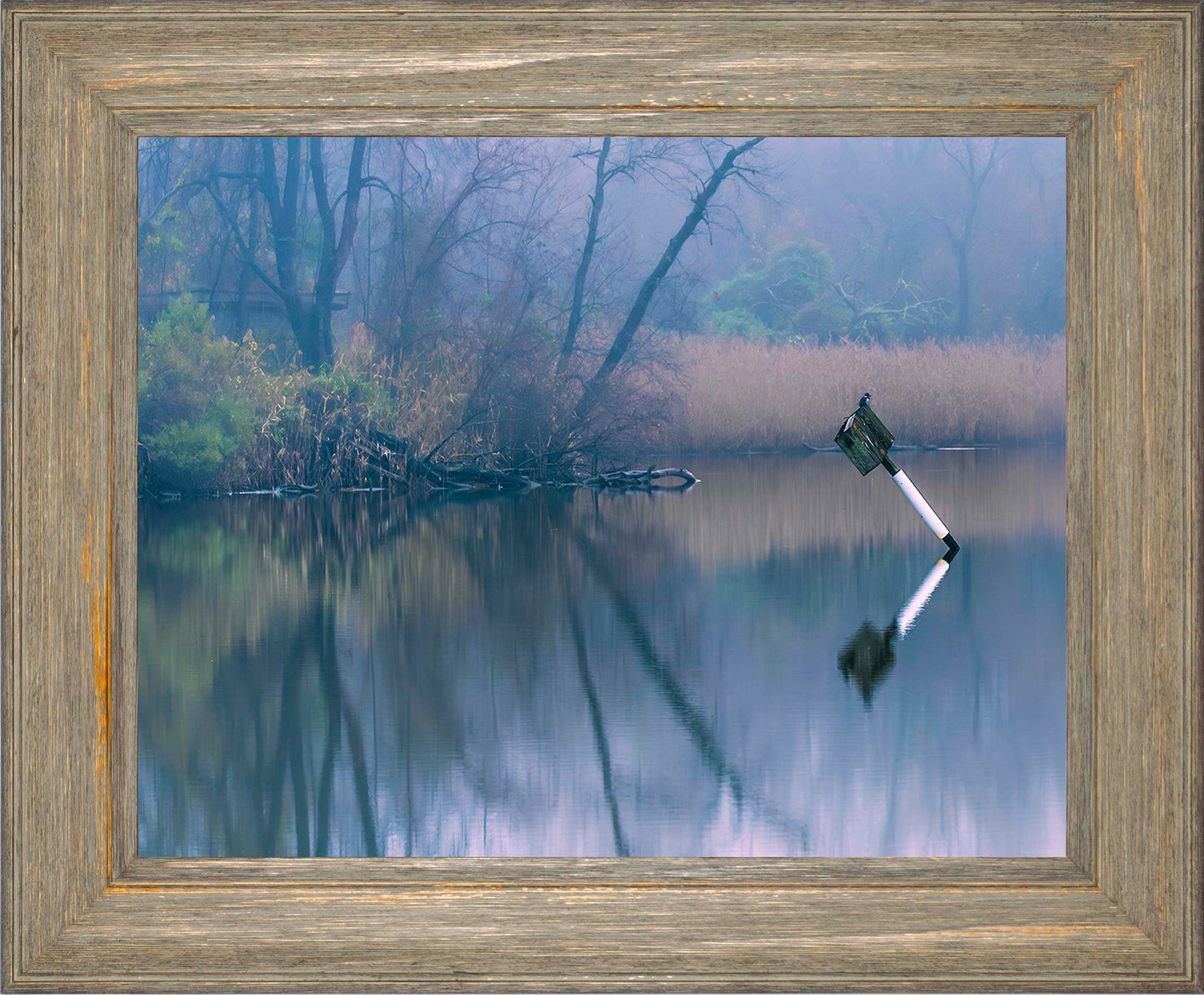 Bird on a Box -- Digital Print