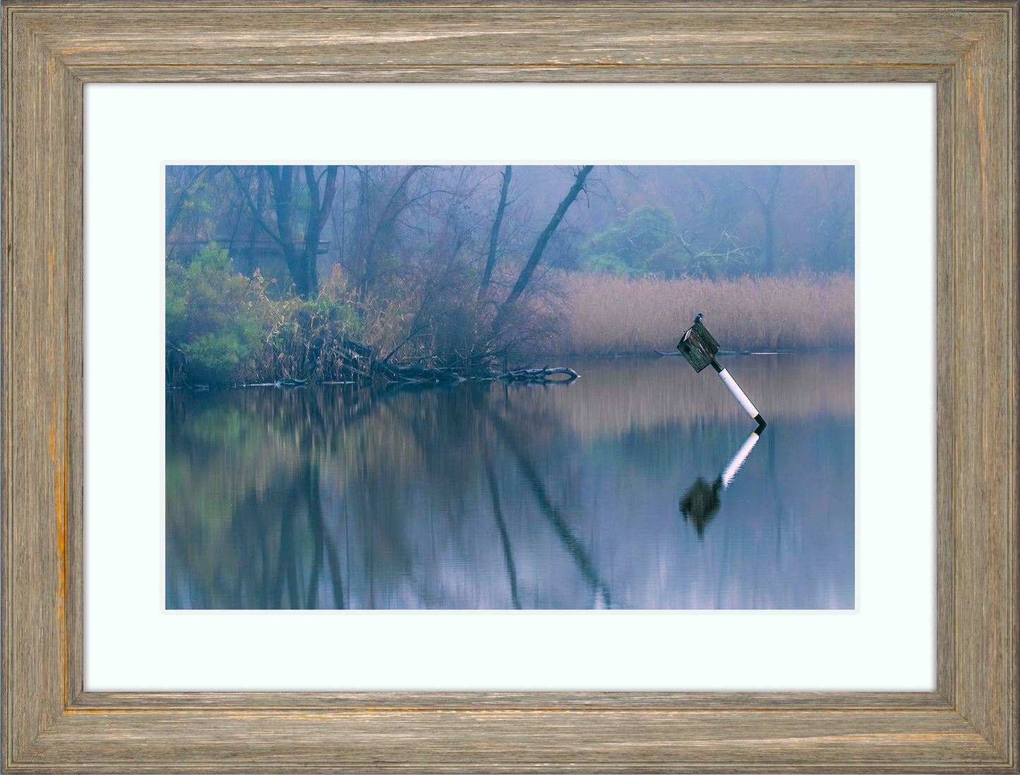 Bird on a Box -- Digital Print