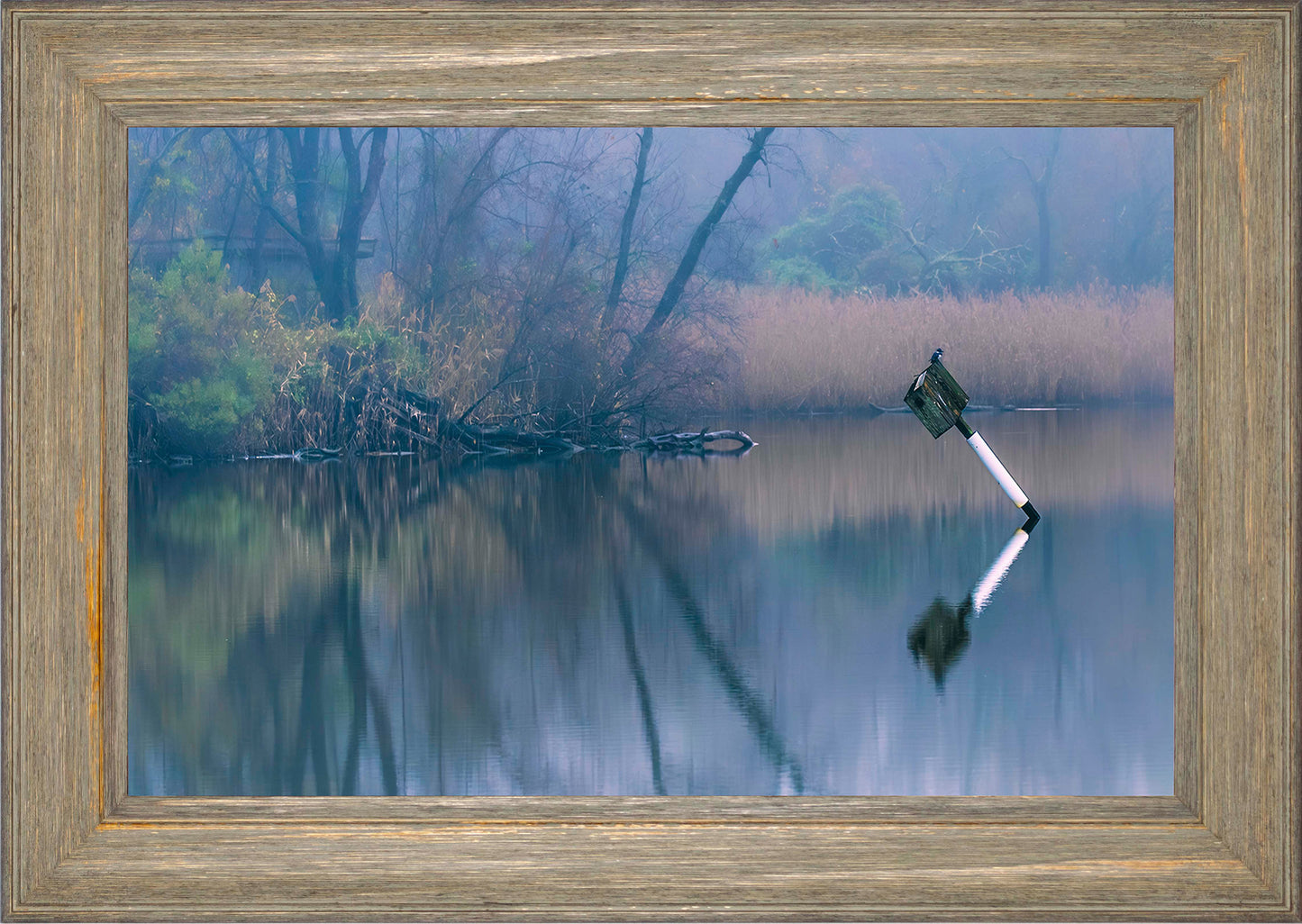 Bird on a Box -- Digital Print