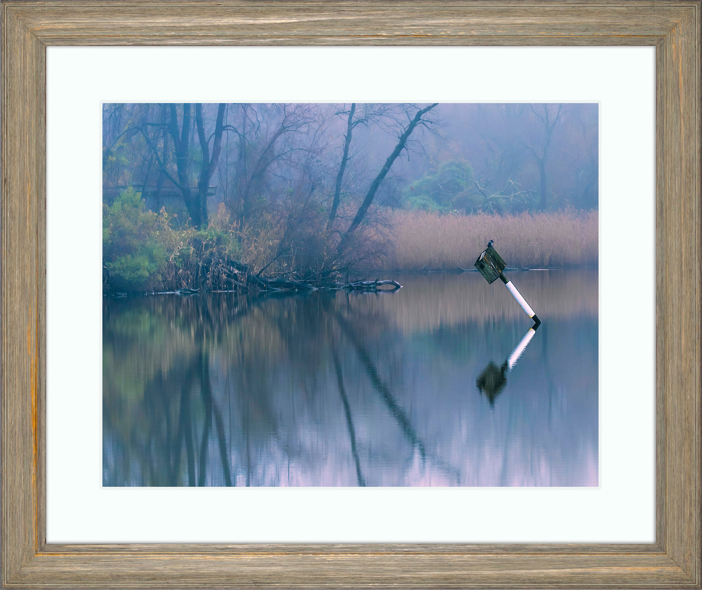 Bird on a Box -- Digital Print
