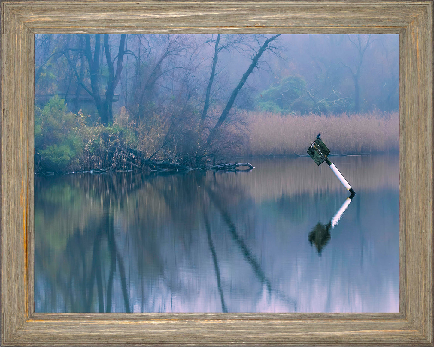 Bird on a Box -- Digital Print