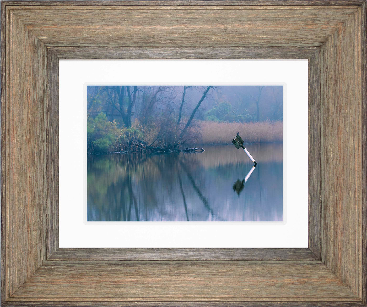 Bird on a Box -- Digital Print