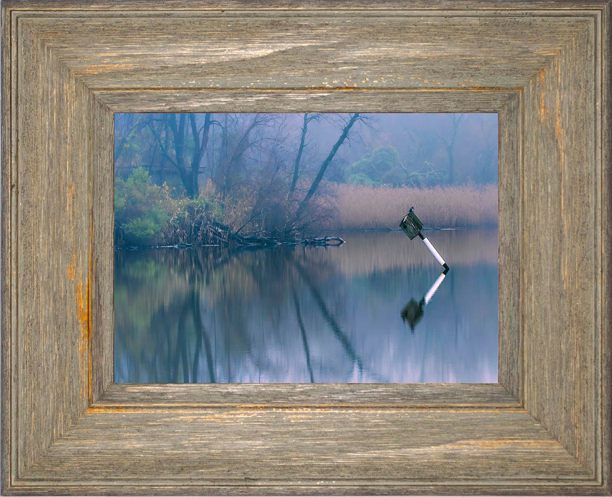 Bird on a Box -- Digital Print