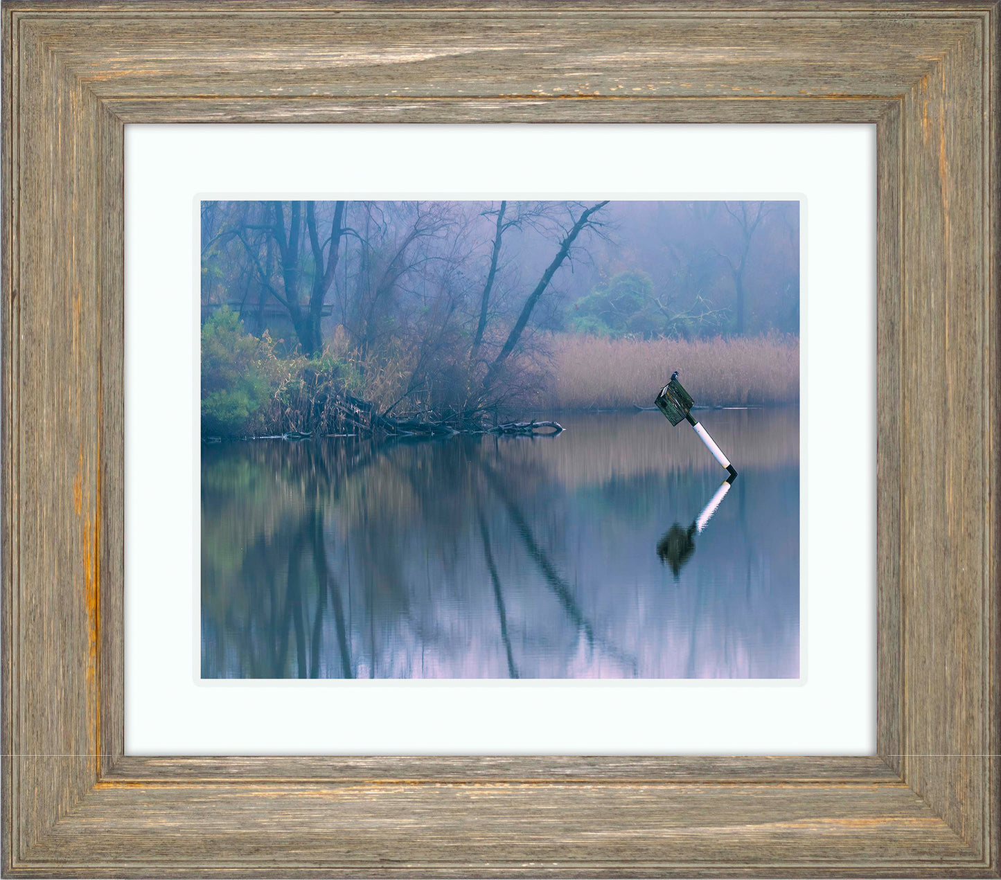 Bird on a Box -- Digital Print