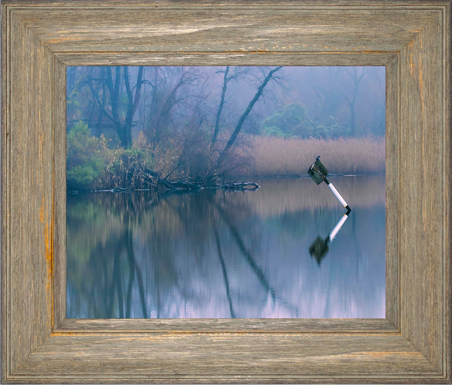 Bird on a Box -- Digital Print