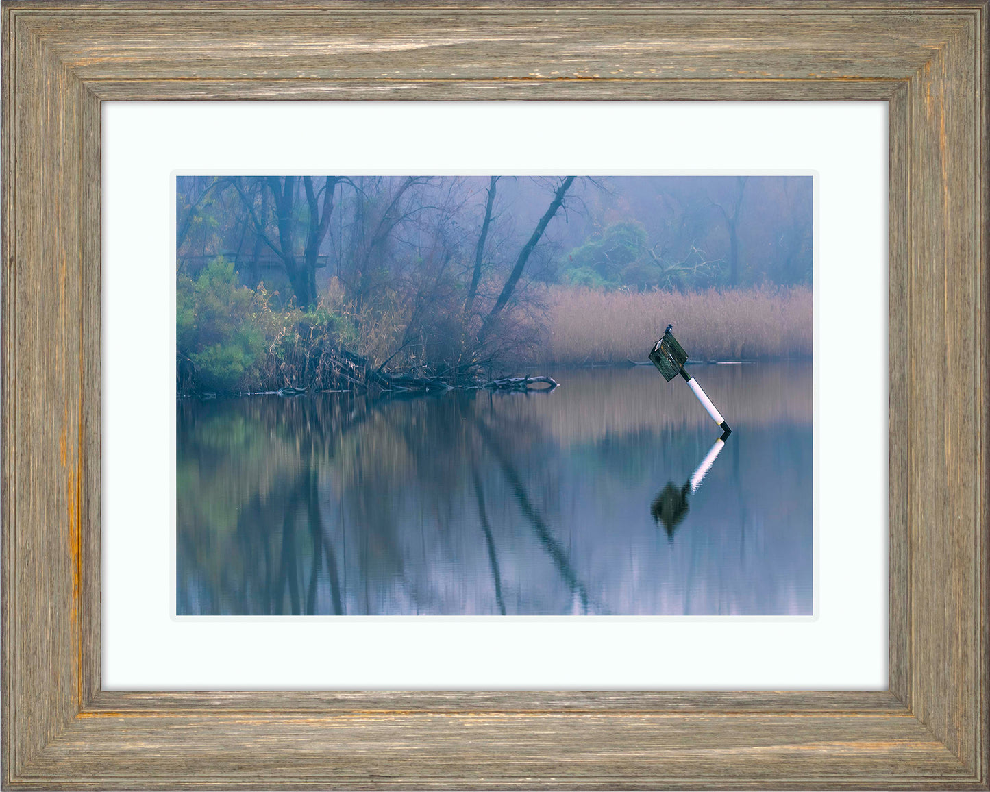Bird on a Box -- Digital Print