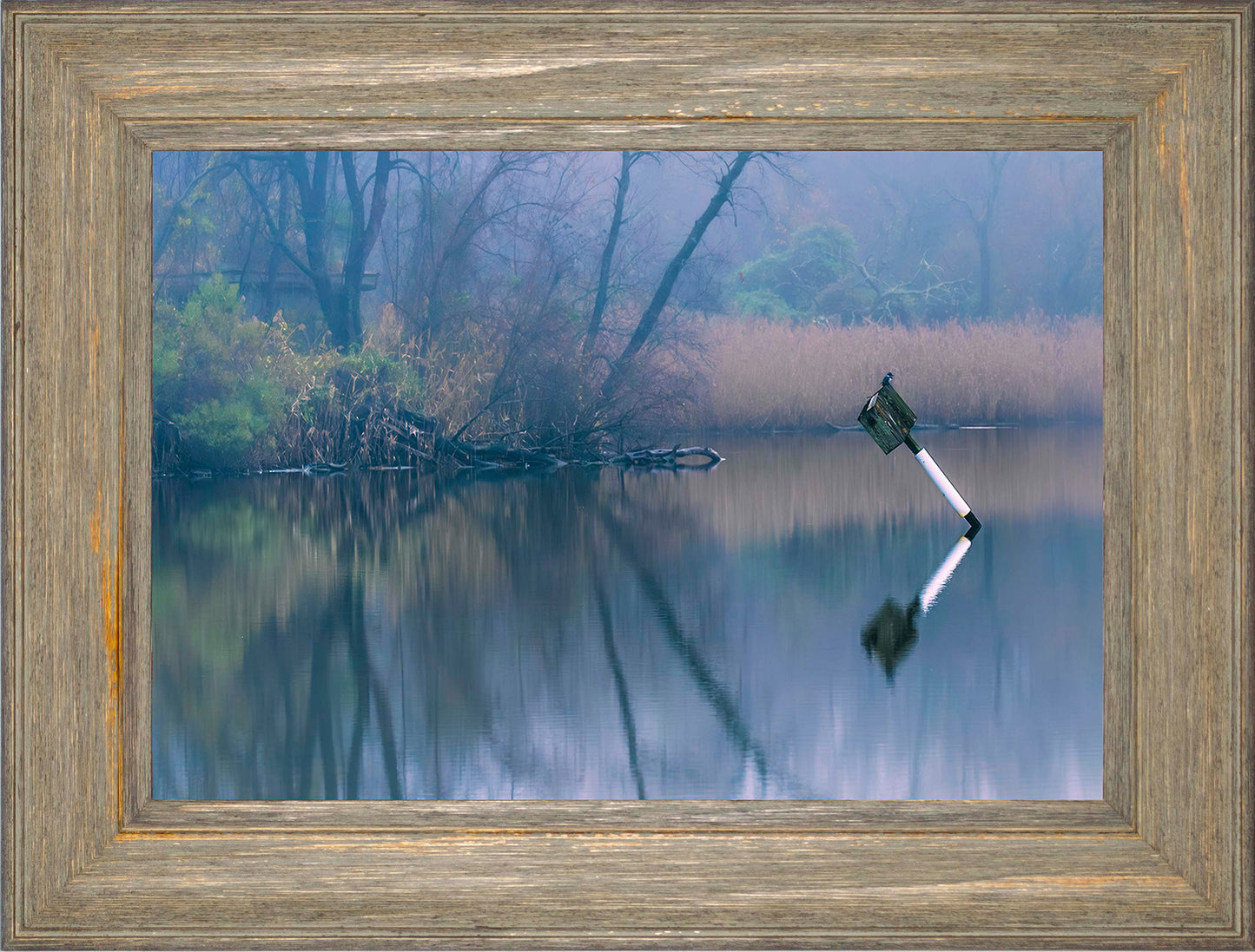 Bird on a Box -- Digital Print