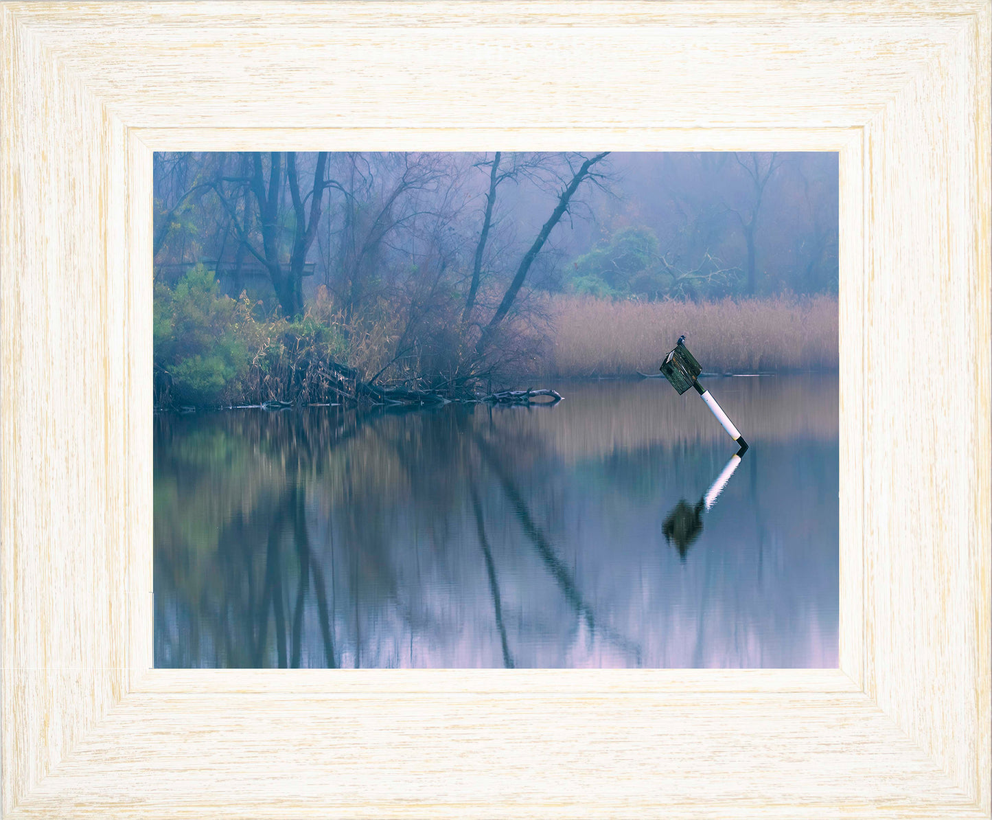 Bird on a Box -- Digital Print