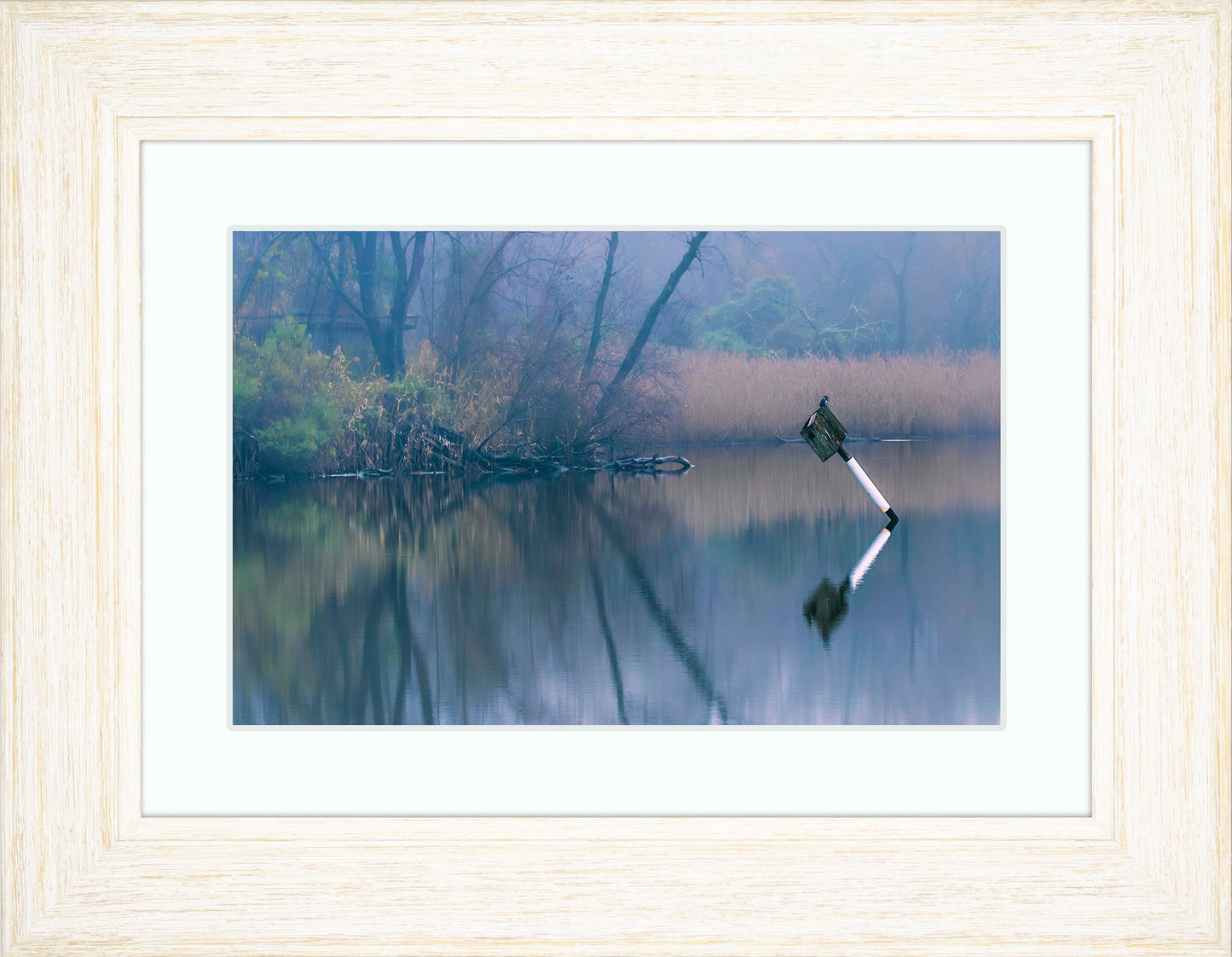 Bird on a Box -- Digital Print