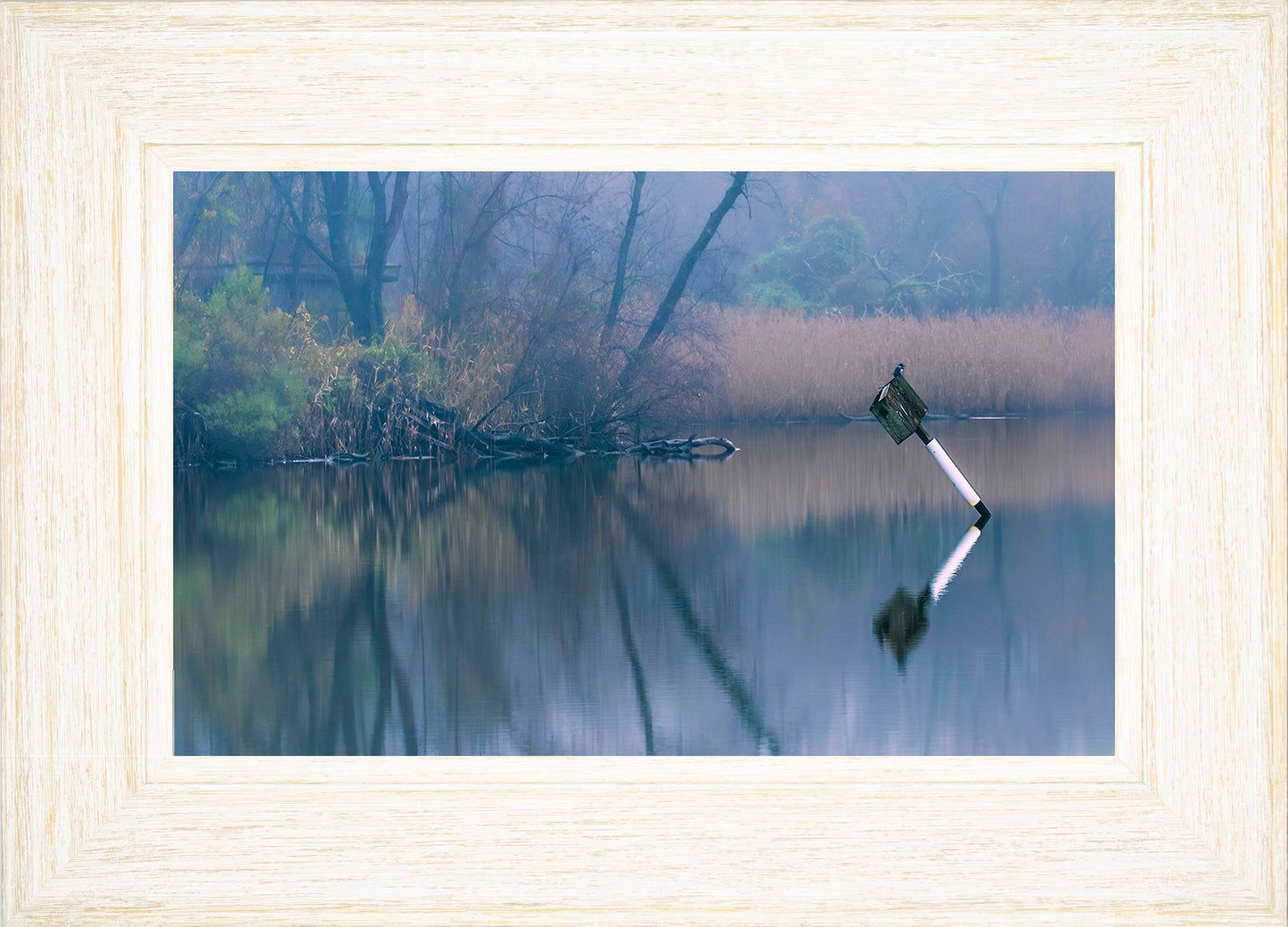 Bird on a Box -- Digital Print