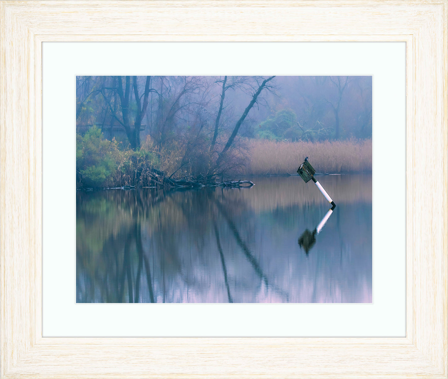 Bird on a Box -- Digital Print