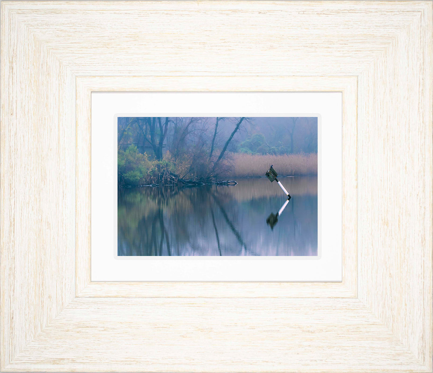 Bird on a Box -- Digital Print