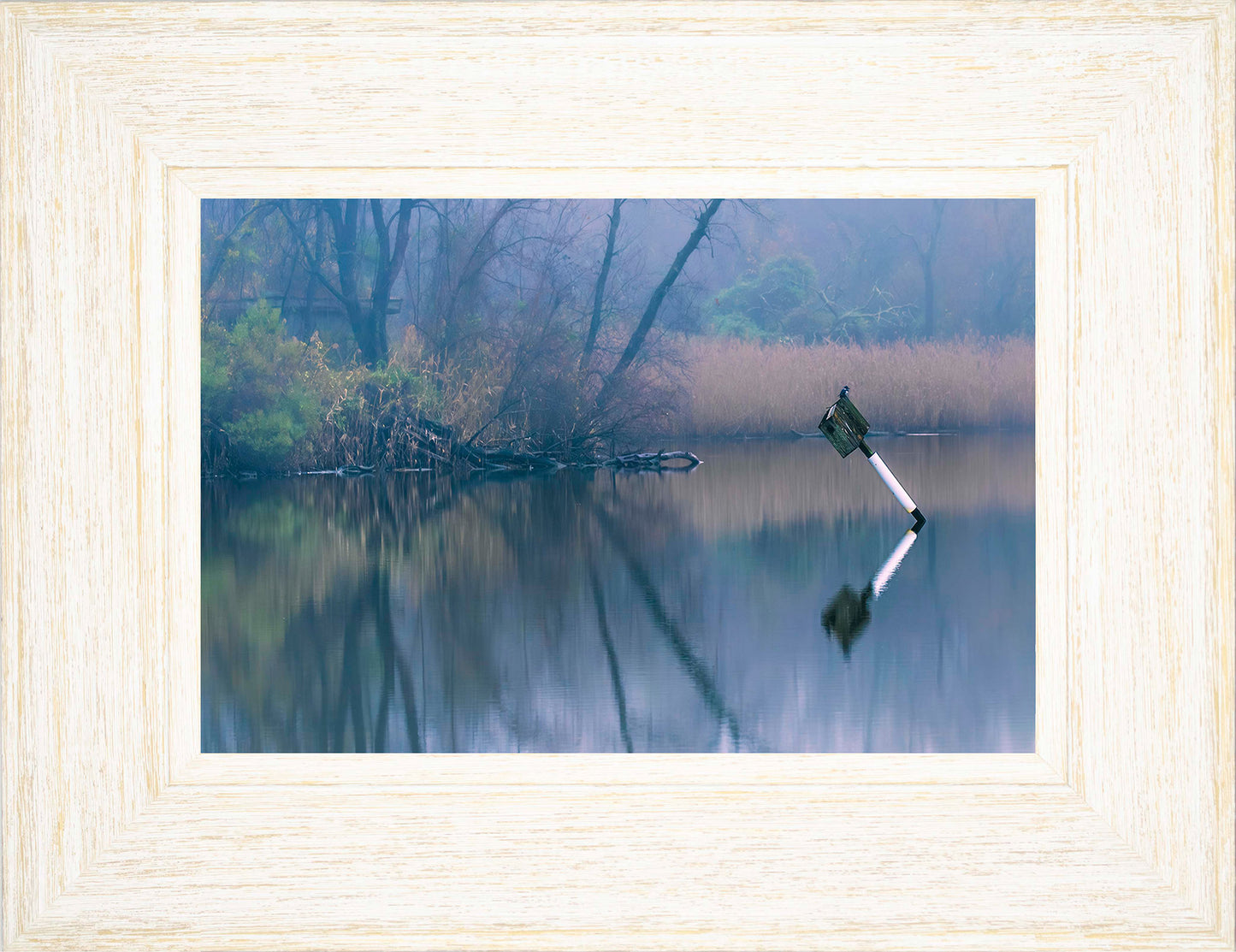 Bird on a Box -- Digital Print