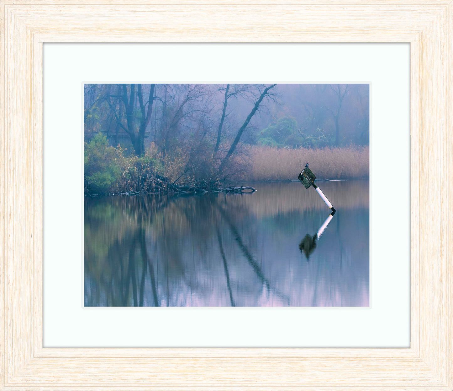 Bird on a Box -- Digital Print