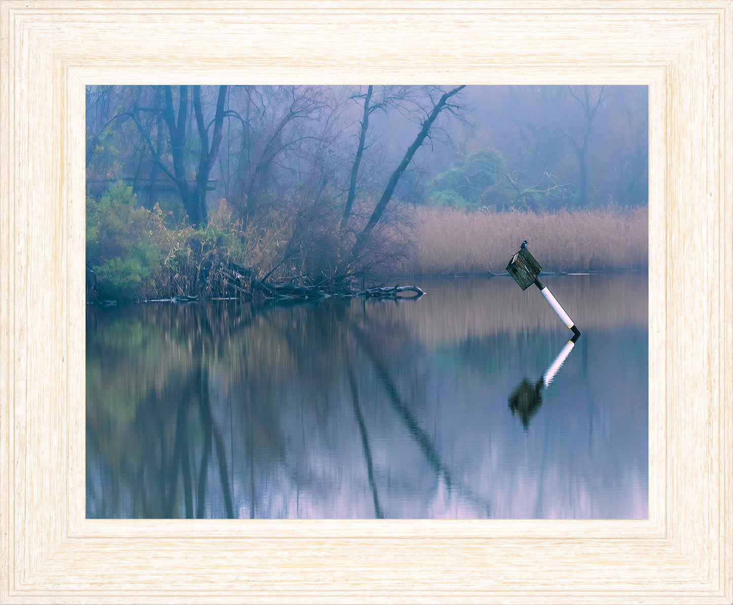 Bird on a Box -- Digital Print