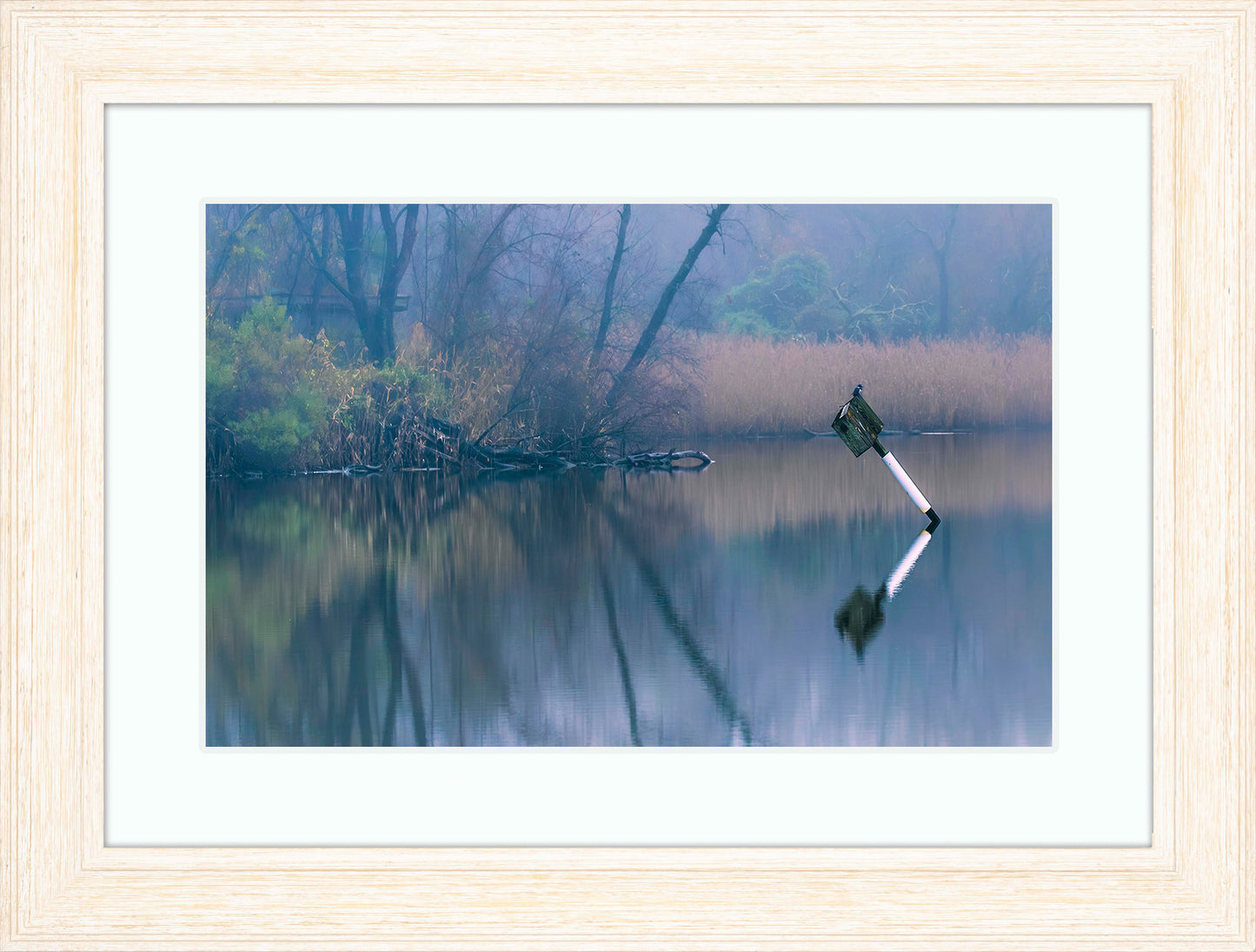 Bird on a Box -- Digital Print