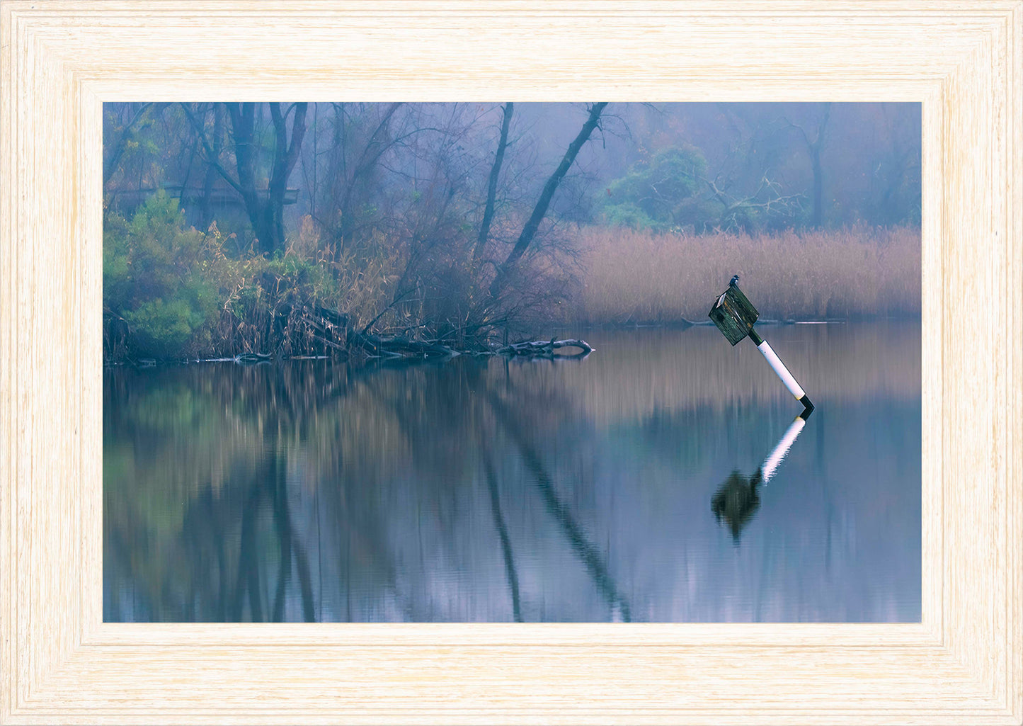 Bird on a Box -- Digital Print
