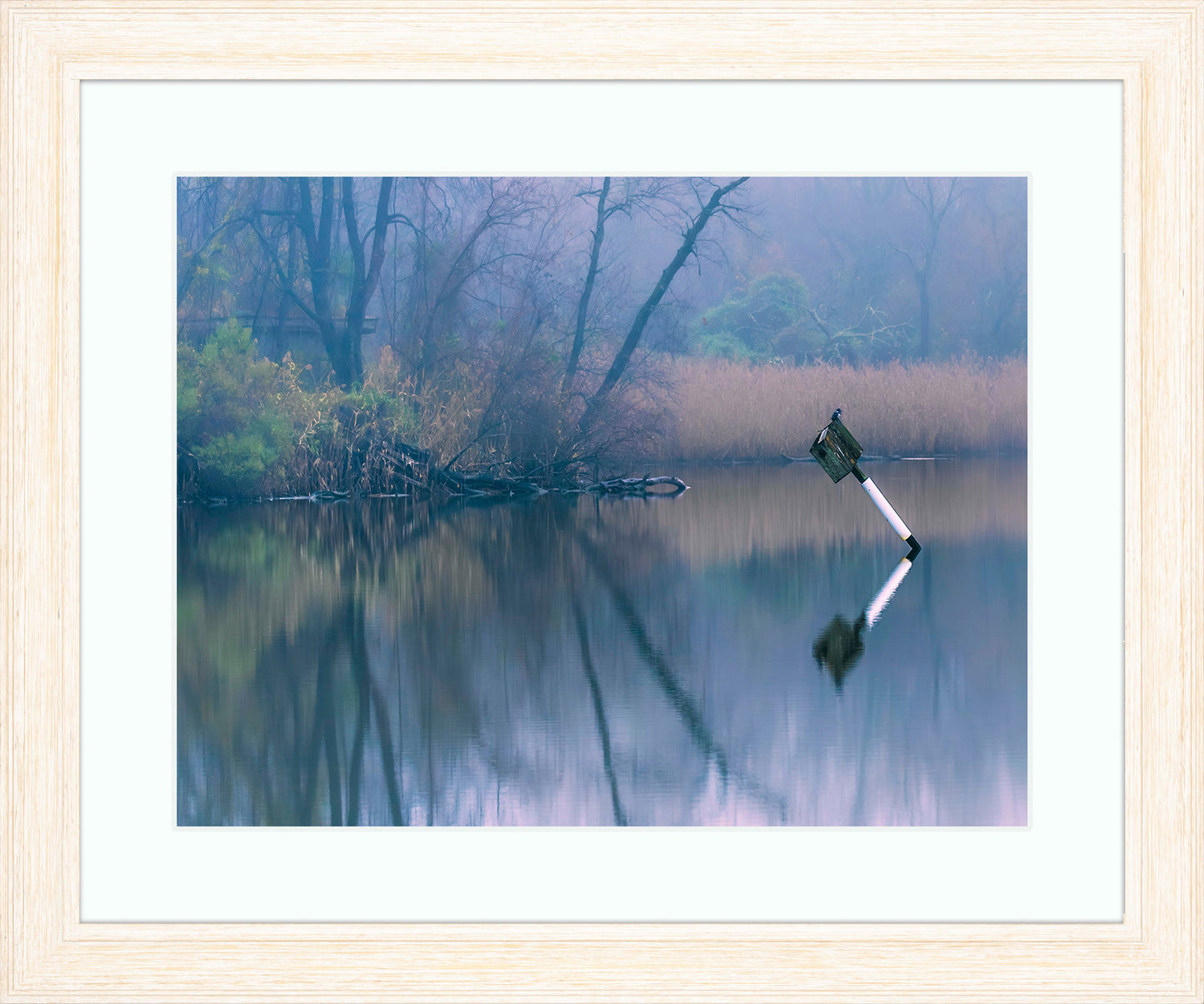 Bird on a Box -- Digital Print