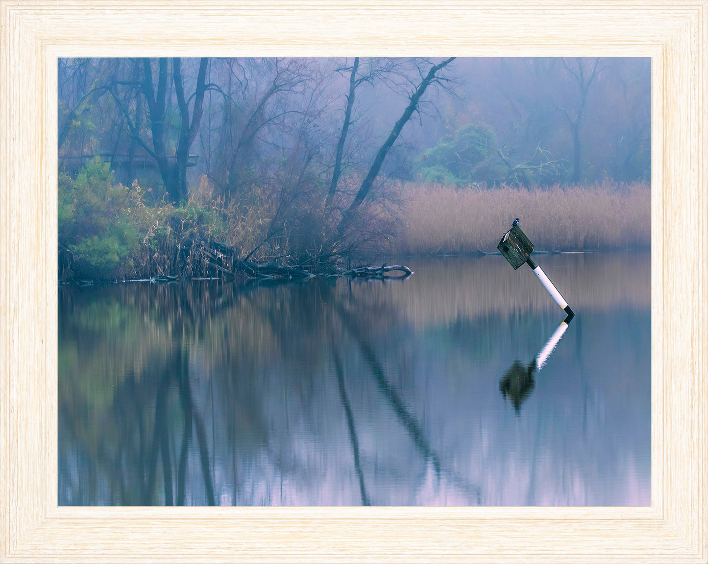 Bird on a Box -- Digital Print