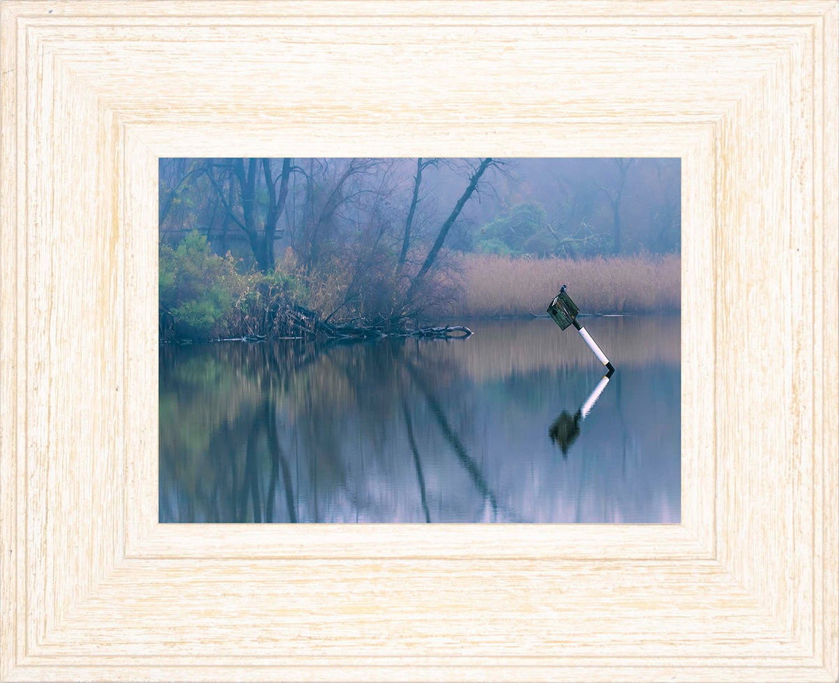 Bird on a Box -- Digital Print