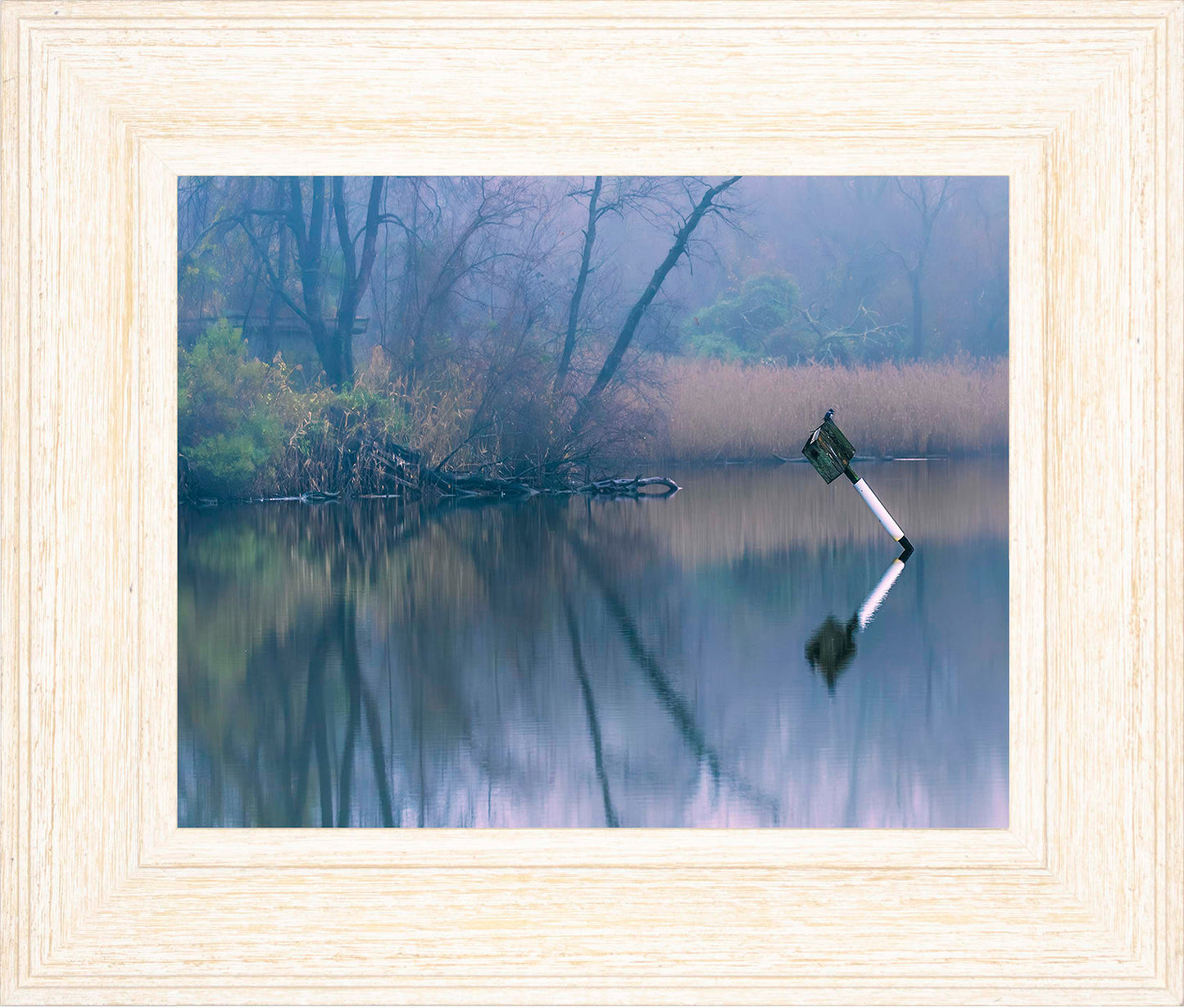 Bird on a Box -- Digital Print