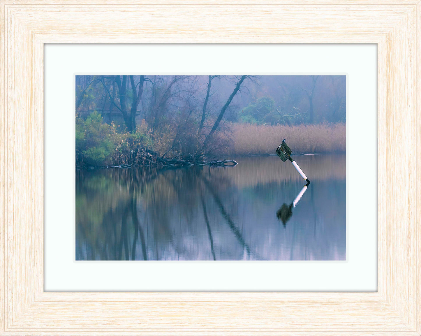 Bird on a Box -- Digital Print