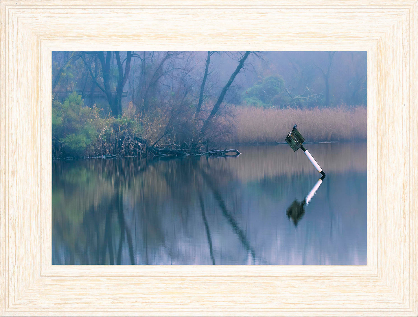 Bird on a Box -- Digital Print