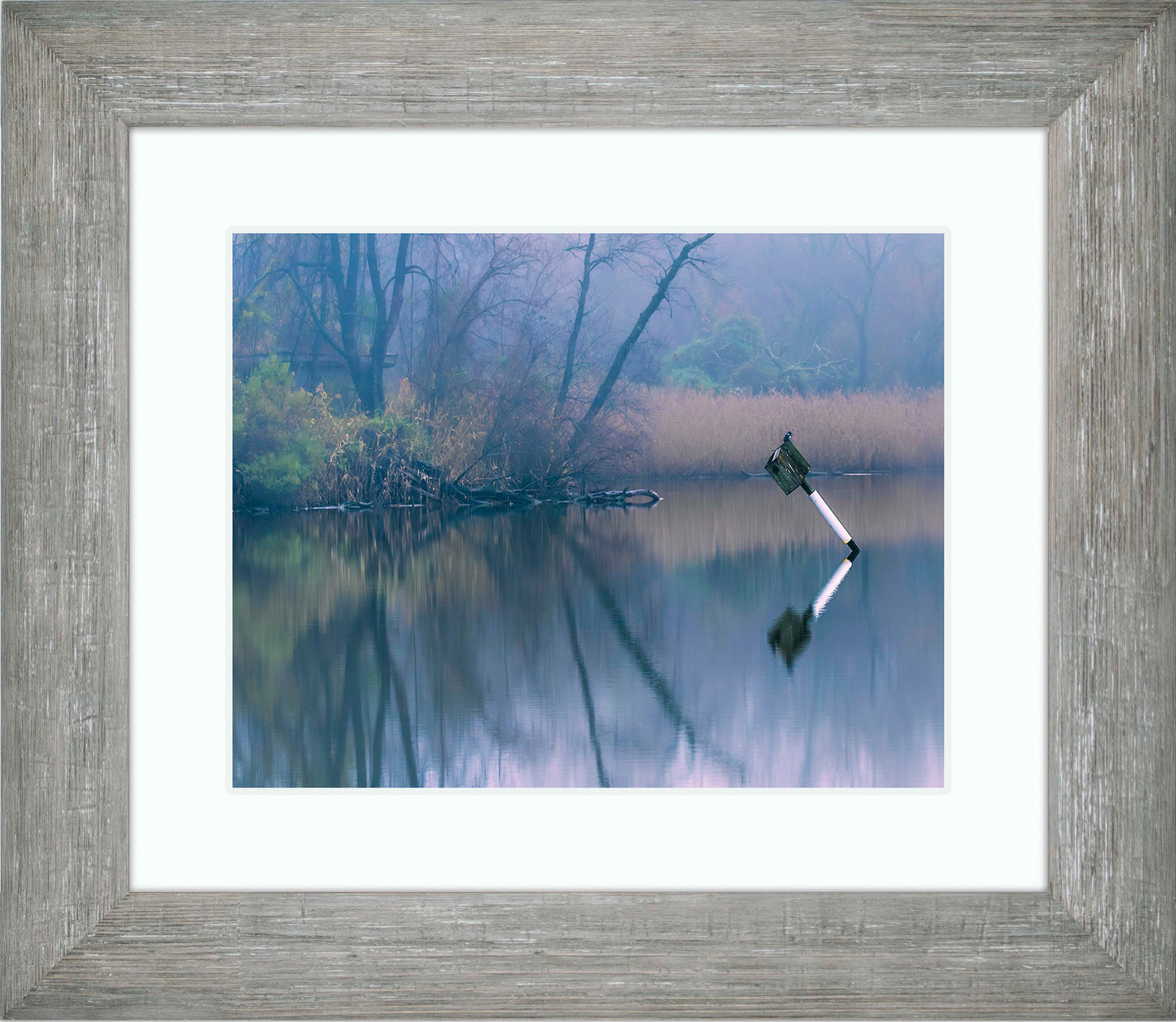 Bird on a Box -- Digital Print