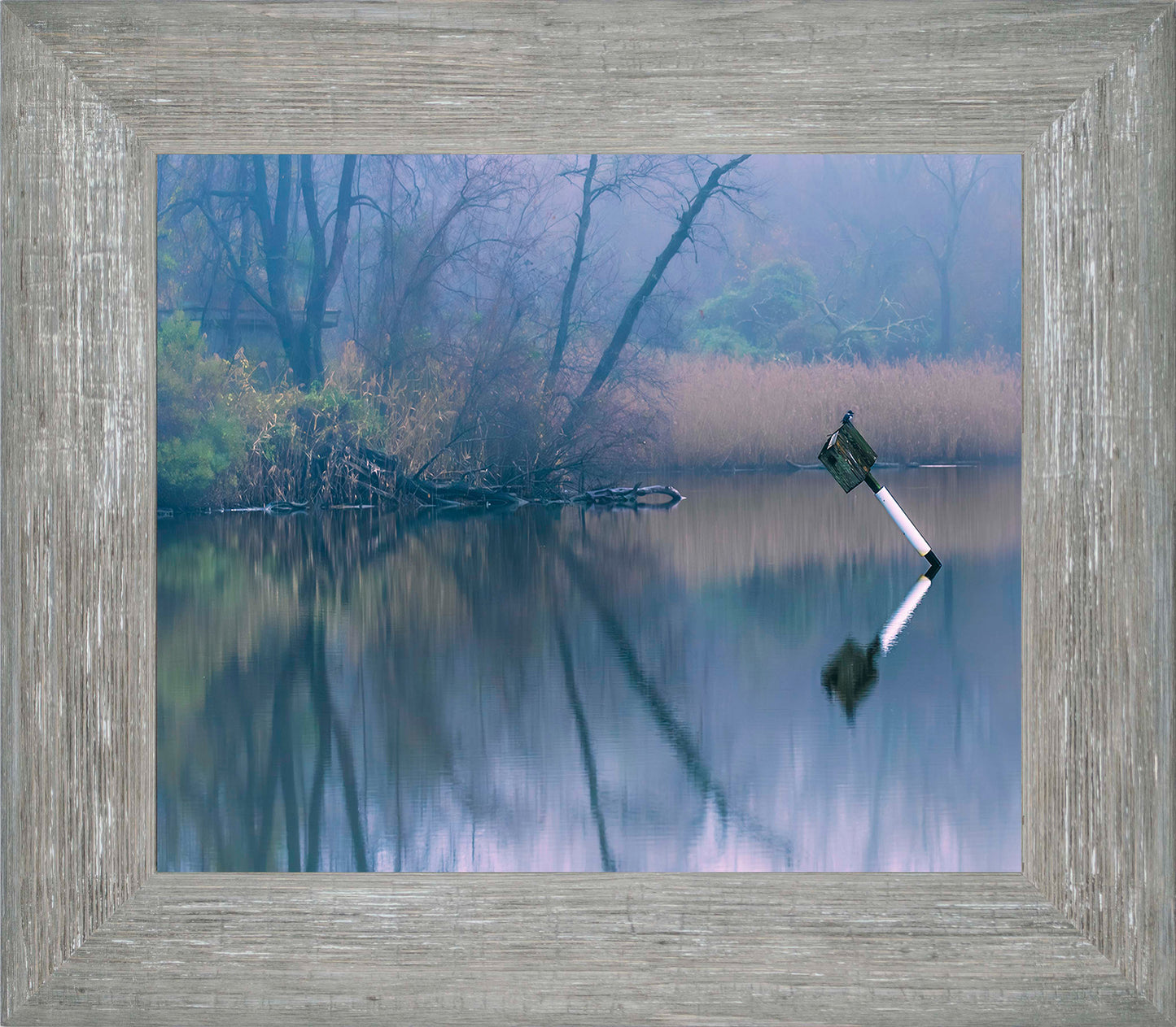 Bird on a Box -- Digital Print