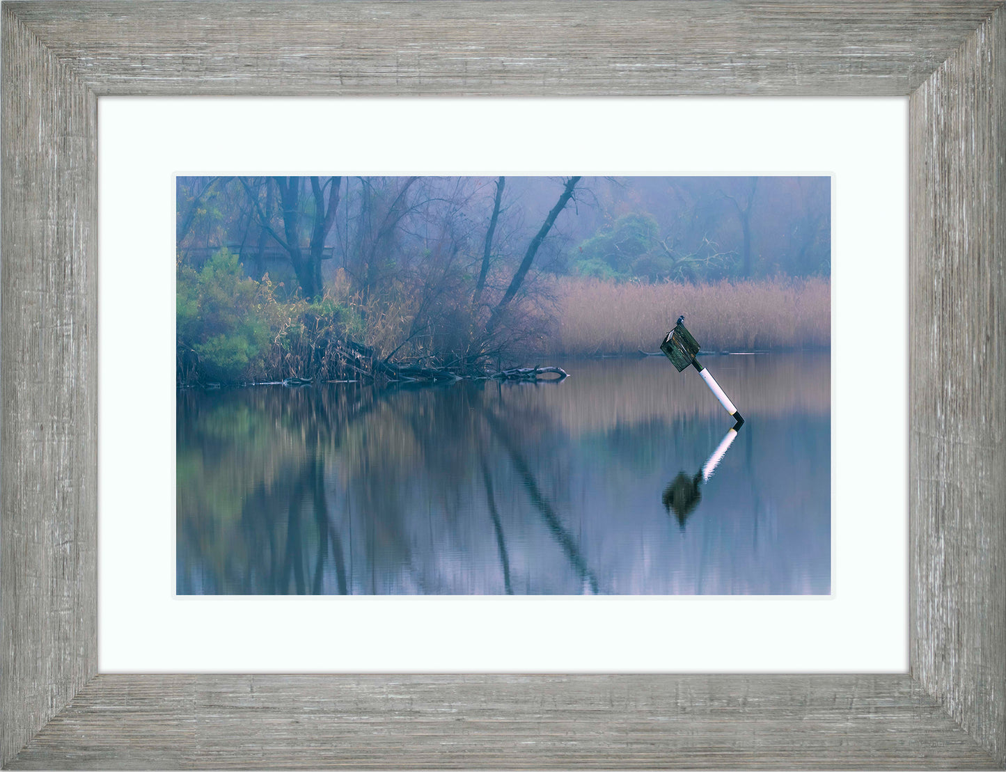Bird on a Box -- Digital Print