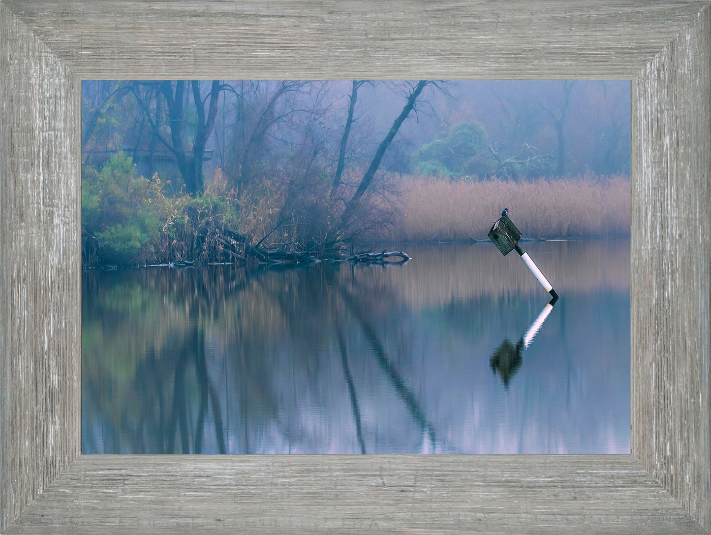 Bird on a Box -- Digital Print