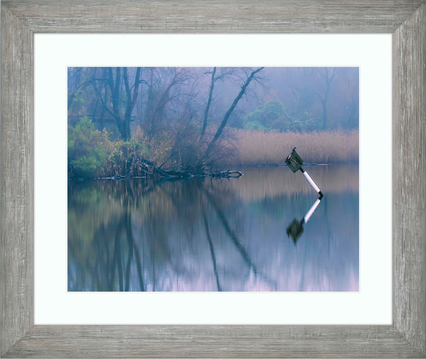Bird on a Box -- Digital Print