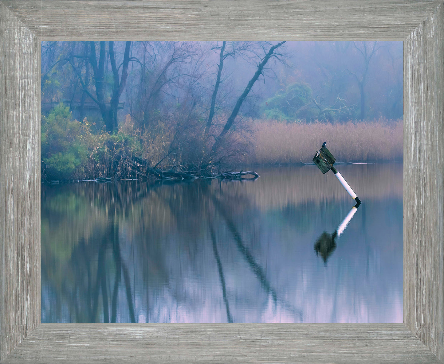 Bird on a Box -- Digital Print