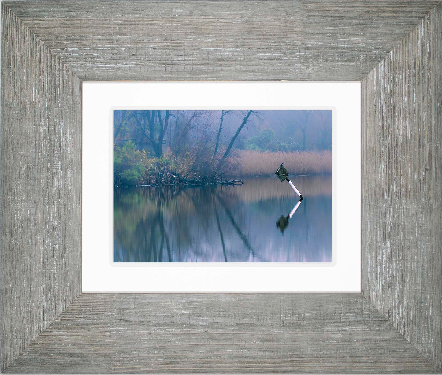 Bird on a Box -- Digital Print