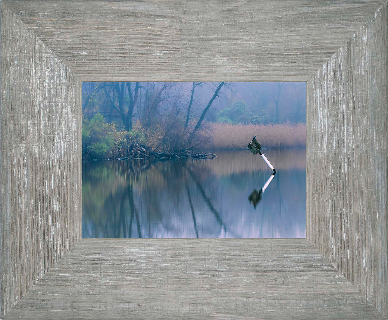 Bird on a Box -- Digital Print