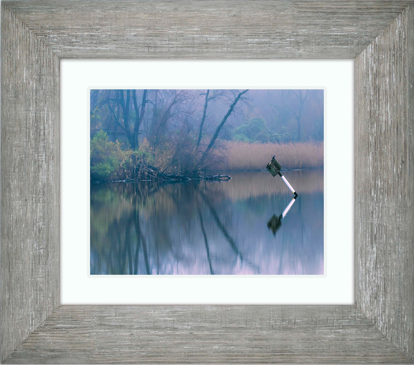 Bird on a Box -- Digital Print